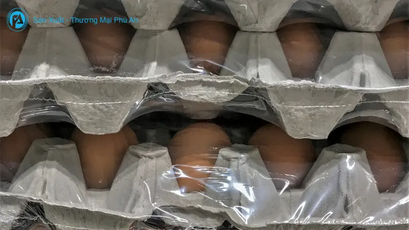 Lỗ thủng nhỏ trên màng co