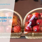 Màng co bọc trái cây